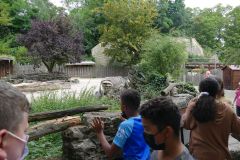 Zooschule-24