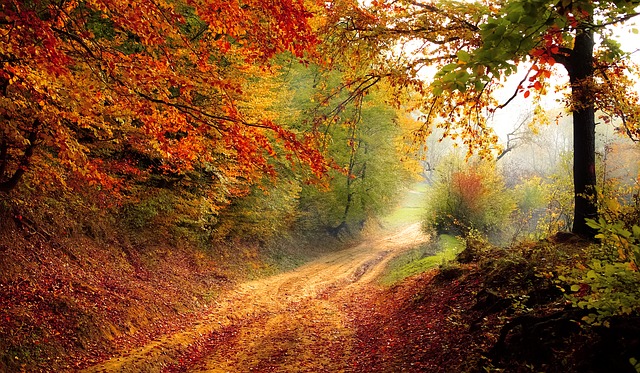 herbst