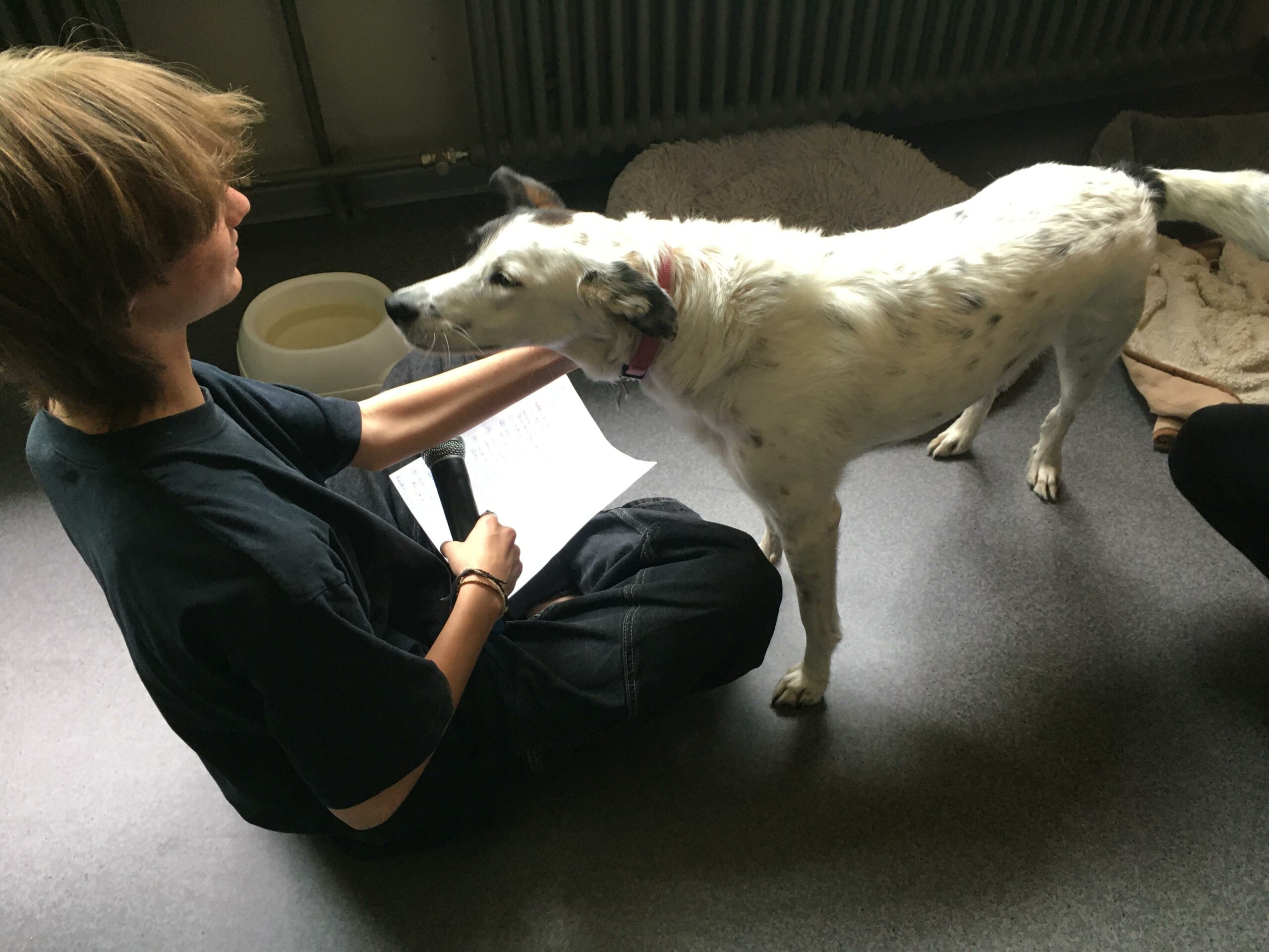 Interview mit Mika 03