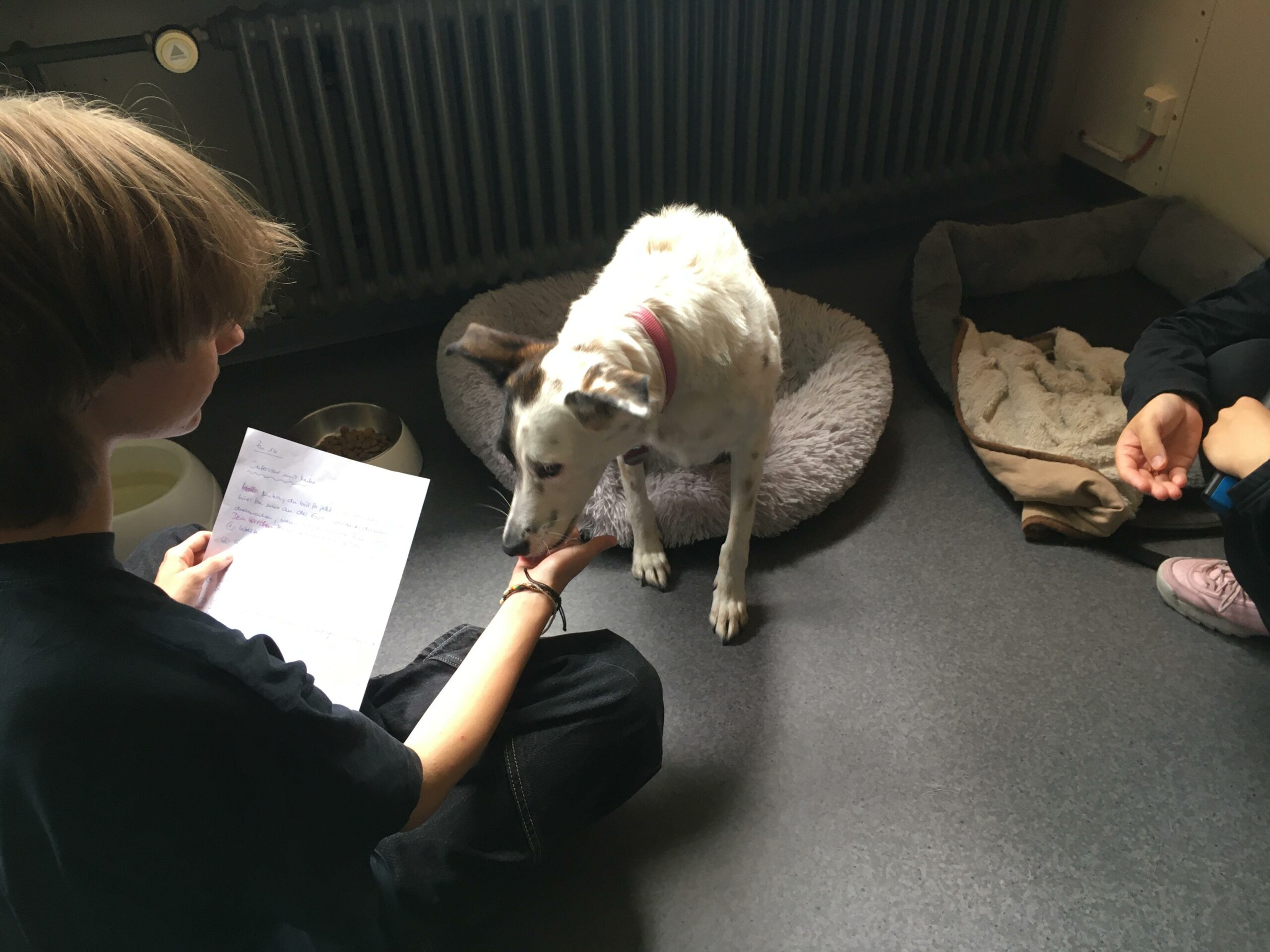 Interview mit Mika 06